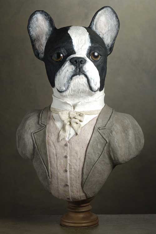 boule dogue dame