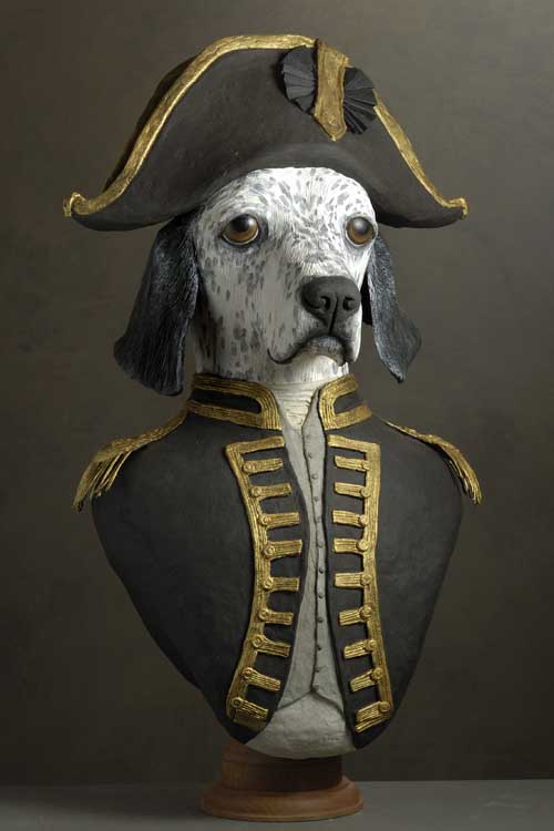 setter Amiral