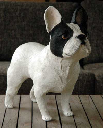 bouledogue