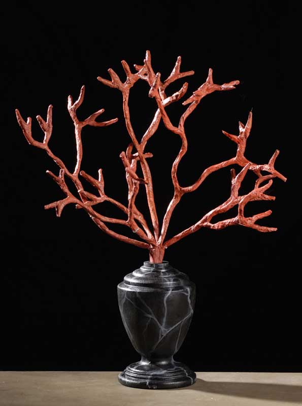 corail