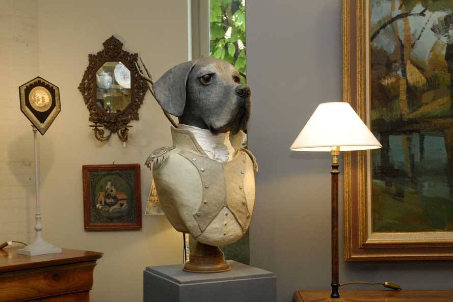 dogue