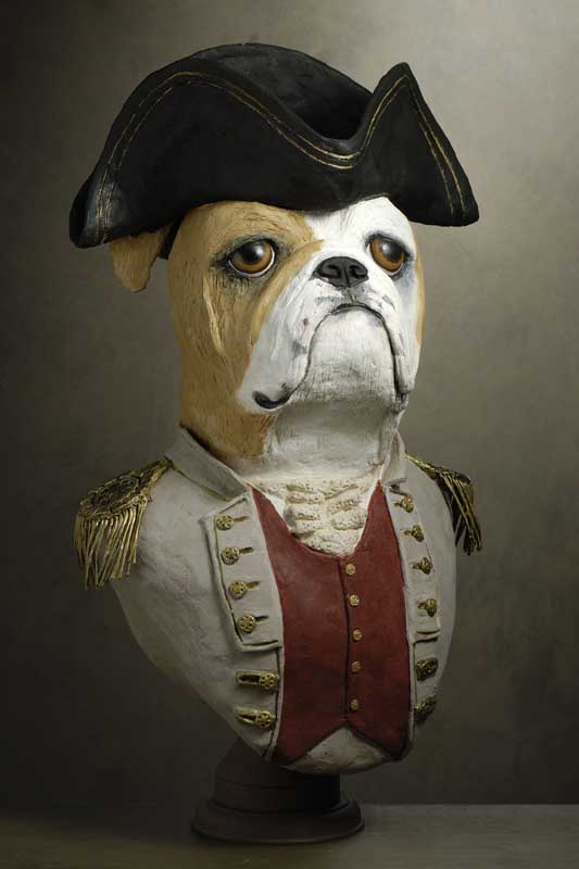 bouledogue Amiral