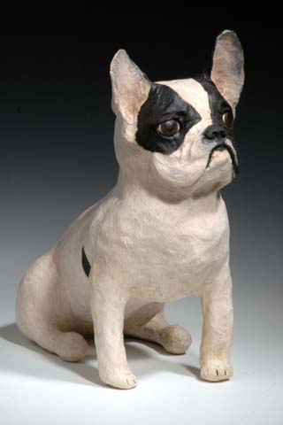 bouledogue4