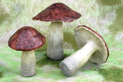 champignons