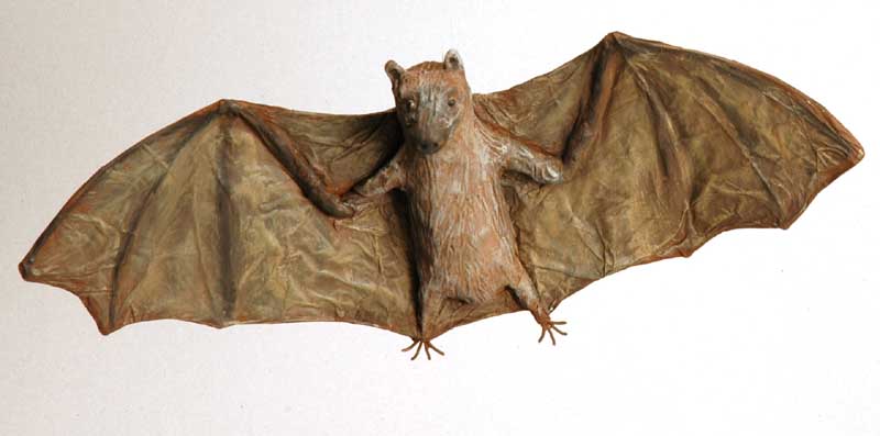 chauve-souris