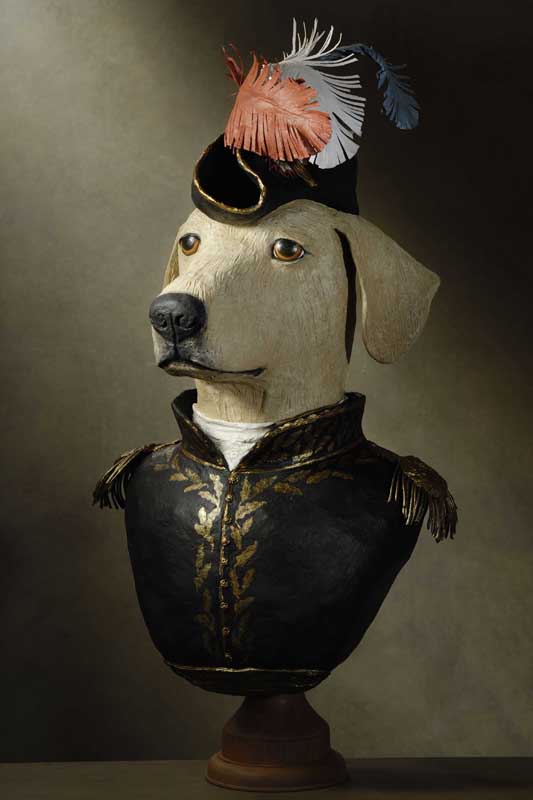 labrador Murat