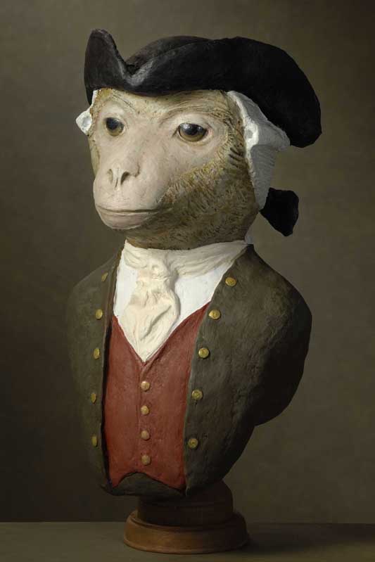 singe tricorne