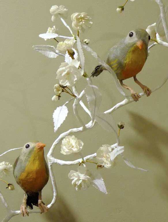 2 rossignols du Japon