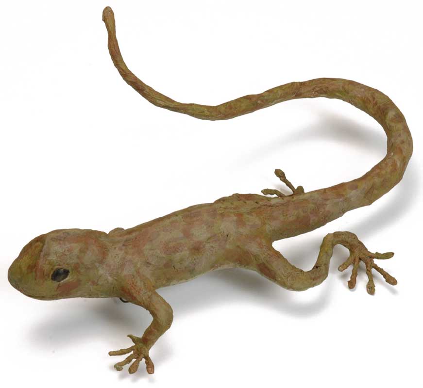 lezard