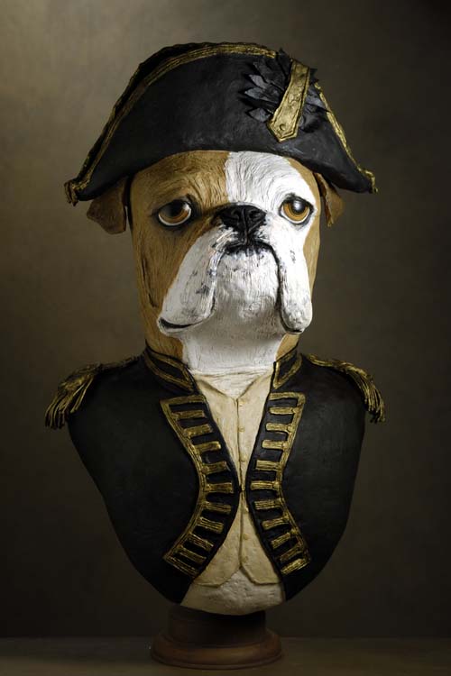 bouledogue Amiral