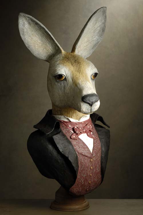 kangourou dandy