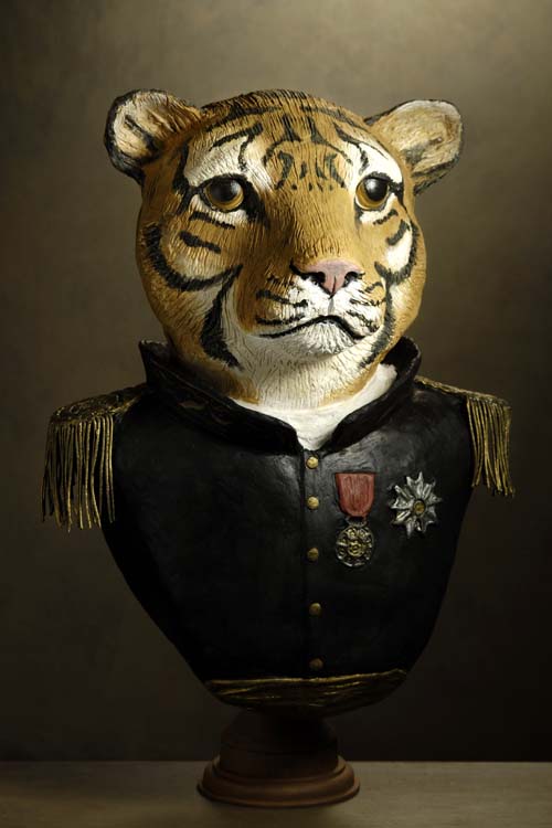 tigre Amiral