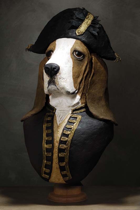 basset-hound amiral