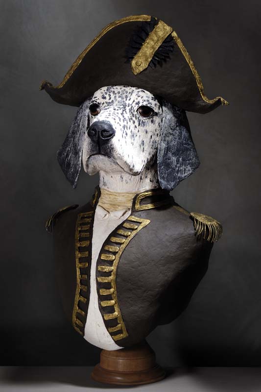 setter amiral