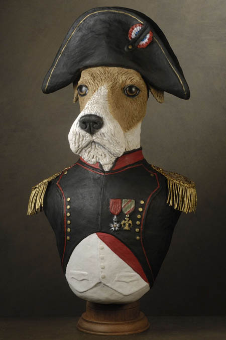 Fox Napoleon