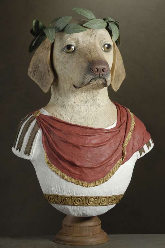 Labrador Empereur