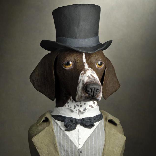 bustes de chiens