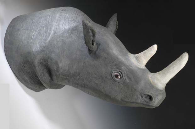 rhino