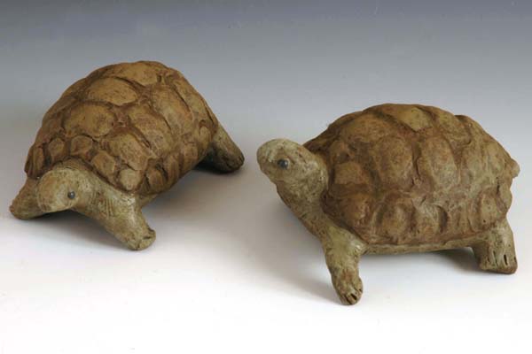 tortues