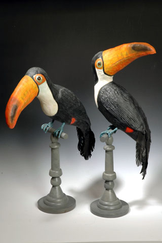 toucans